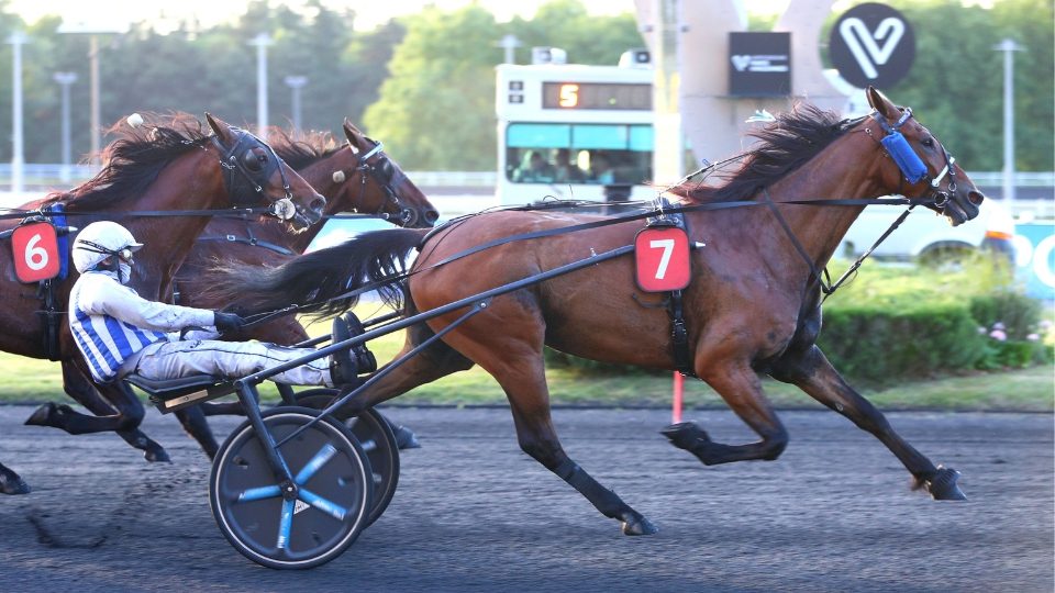 Découvrez les enjeux du Prix Jean-Luc Lagardère 2025 à Enghien avec Inexess Bleu en quête d'une 10e victoire consécutive.