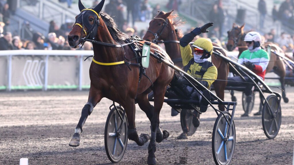 Découvrez les préparatoires aux Critériums à Vincennes : analyse des favoris, outsiders et enjeux décisifs à suivre.