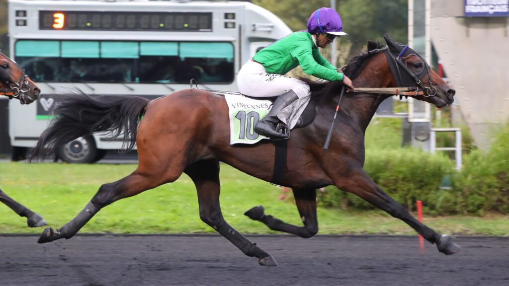 Découvrez tout sur le prestigieux Prix des Élites 2025 à Paris-Vincennes : favoris, outsiders et pronostics détaillés.